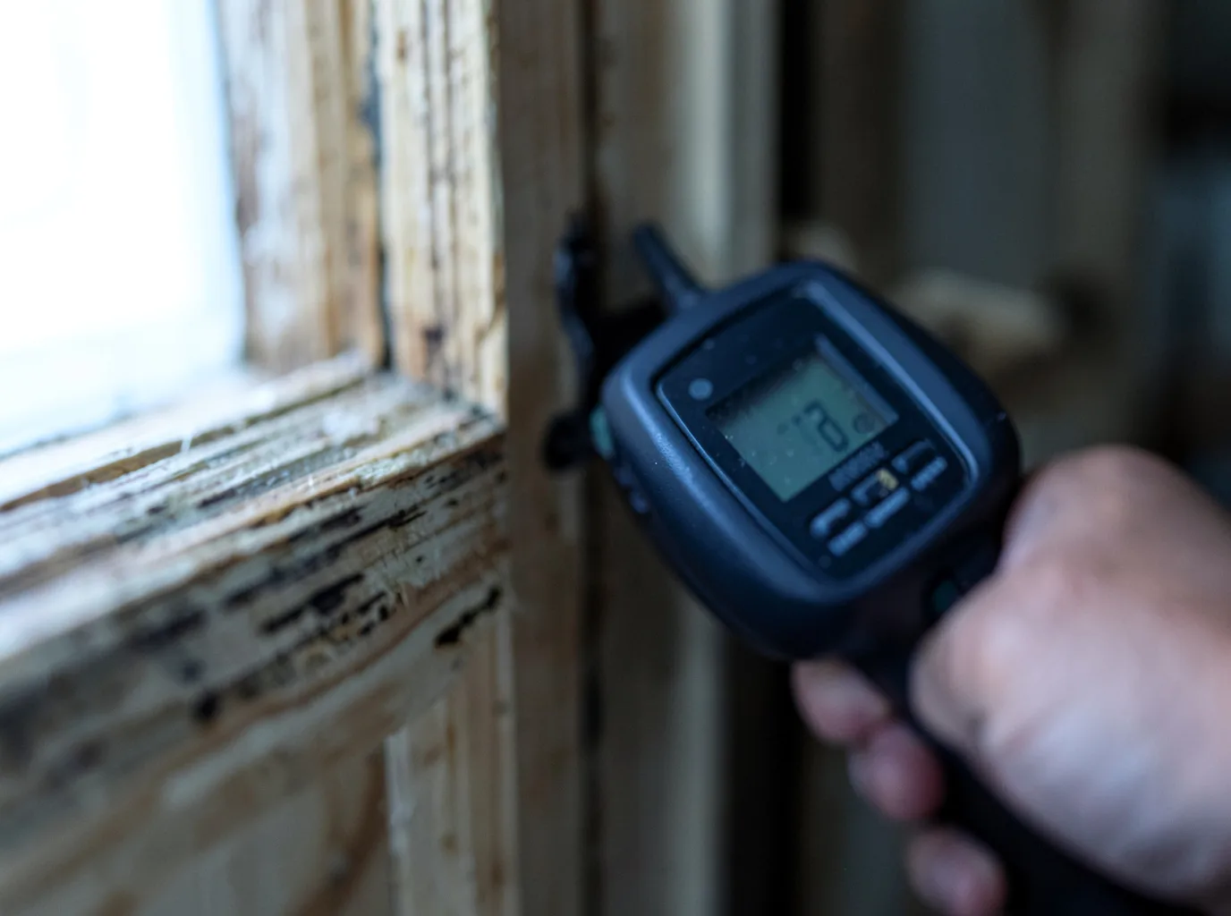 Moisture Inspection And Documentation in Shady Side, MD